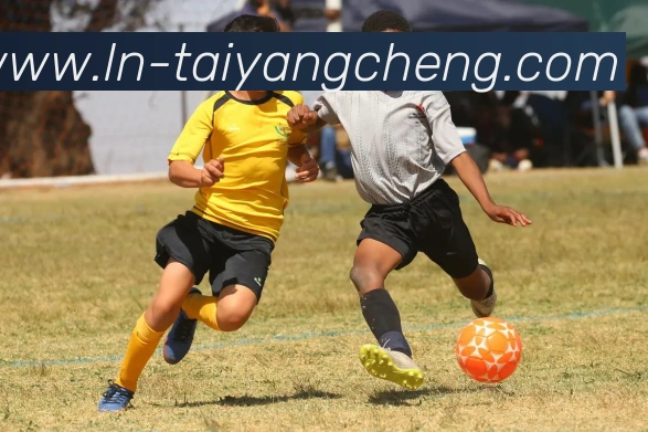 太阳城娱乐服务体系